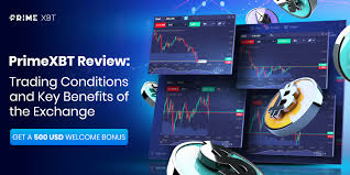 The Ultimate Guide to Trading PrimeXBT Maximize Your Profits The Ultimate Guide to Trading PrimeXBT Maximize Your Profits